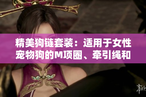 精美狗链套装：适用于女性宠物狗的M项圈、牵引绳和铃铛