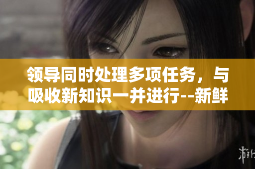 领导同时处理多项任务，与吸收新知识一并进行--新鲜的在线观看体验