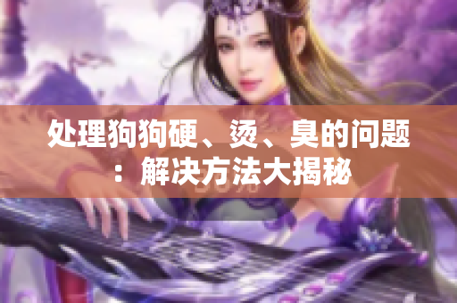 处理狗狗硬、烫、臭的问题：解决方法大揭秘