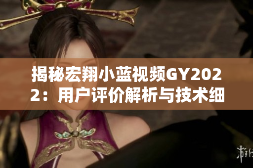 揭秘宏翔小蓝视频GY2022：用户评价解析与技术细节深度剖析