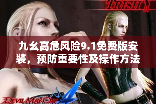 九幺高危风险9.1免费版安装，预防重要性及操作方法详解