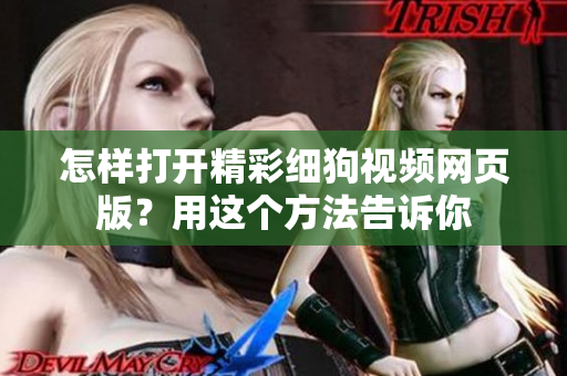 怎样打开精彩细狗视频网页版？用这个方法告诉你
