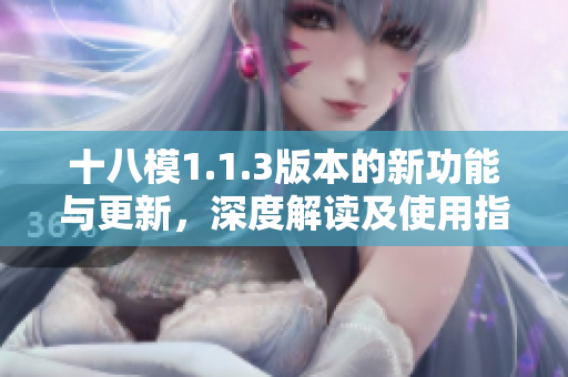 十八模1.1.3版本的新功能与更新，深度解读及使用指南