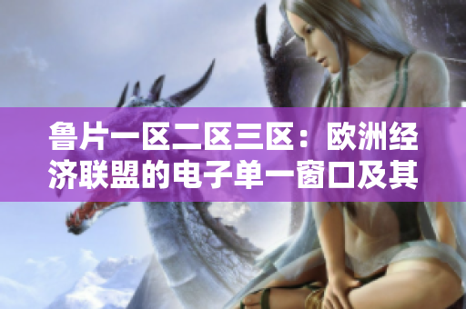 鲁片一区二区三区：欧洲经济联盟的电子单一窗口及其重要性