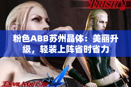 粉色ABB苏州晶体：美丽升级，轻装上阵省时省力